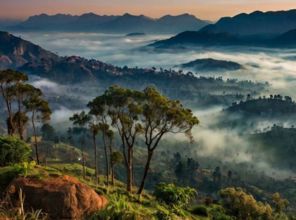 Kodaikanal Festivals & Celebrations